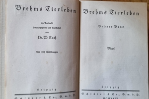 Brehms Tierleben - 4 Bände 1926 Bild 6