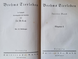 Brehms Tierleben - 4 Bände 1926 Bild 5