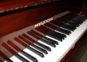 Flügel Klavier Hyundai G-80 A, Nußbaum poliert, 155 cm, 5 Jahre Garantie Bild 5