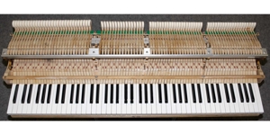 Flügel Klavier Hyundai G-80 A, Nußbaum poliert, 155 cm, 5 Jahre Garantie Bild 10