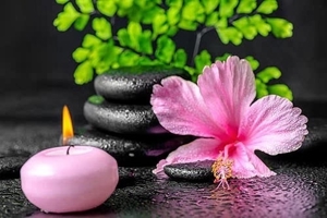 Wellness Massage sucht eine nette Kollegin!