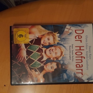 DVD Der Hofnarr Bild 1