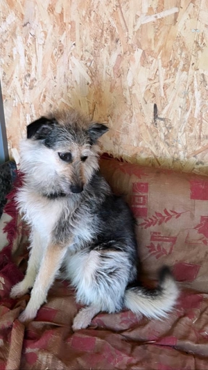 Sara, schüchternes Mädchen möchte so gerne ihre Familie finden Bild 8