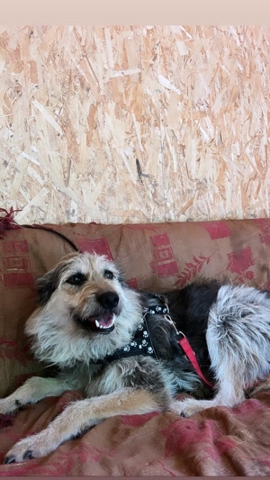 Sara, schüchternes Mädchen möchte so gerne ihre Familie finden Bild 6