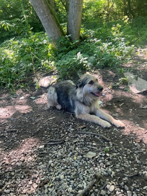 Sara, schüchternes Mädchen möchte so gerne ihre Familie finden Bild 10