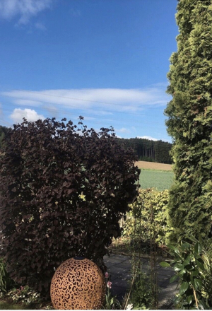 Biete kompetente und liebevolle Hundebetreuung Bild 3