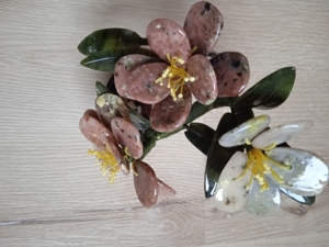 Wunderschöne Edelsteinblume für Sammler und Liebhaber Bild 12
