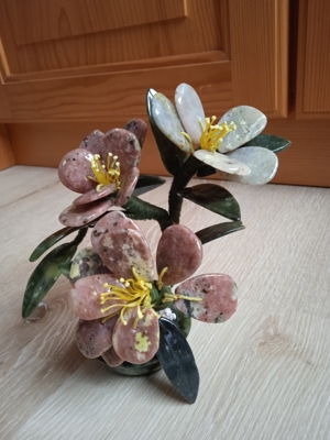 Wunderschöne Edelsteinblume für Sammler und Liebhaber Bild 5