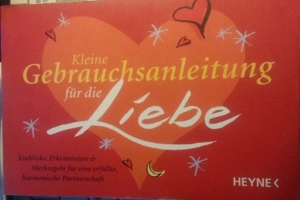 Kleine Gebrauchsanleitung für die Liebe - Heyne Verlag - Buch