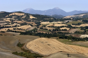 Ferienhaus Italien ... exklusiv mit Pool bis 20 Personen Bild 17