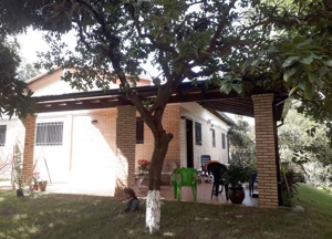 Haus mit Gartenhaus in San Antonio / Paraguay - Preissenkung Bild 1