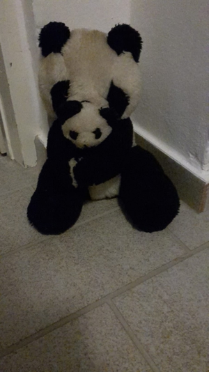 Pandabär sitzend mit Baby.Klettverschluss an den Pfoten,ca 24cm