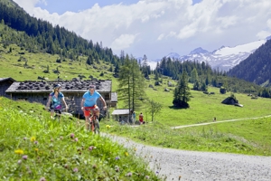 Fewo / Kitzbüheler Alpen / atemberaubende Lage / April & Mai Bild 17