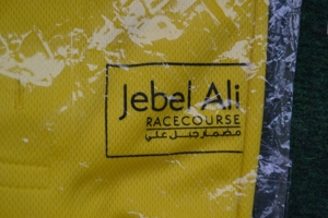Verkaufe Polo-Shirt, Gr. M, gelb, neu, unbenutzt, Jebel Ali Racecourse Bild 2