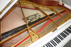 Flügel Klavier Steinway & Sons S-155 weiß poliert, 5 Jahre Garantie Bild 11