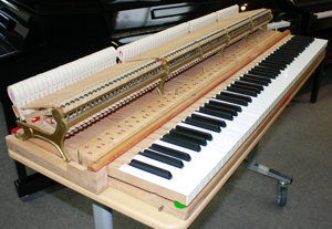 Flügel Klavier Steinway & Sons S-155 weiß poliert, 5 Jahre Garantie Bild 7