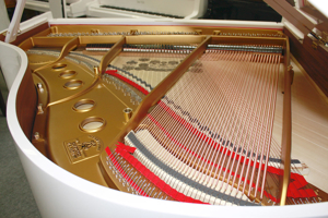 Flügel Klavier Steinway & Sons S-155 weiß poliert, 5 Jahre Garantie Bild 10