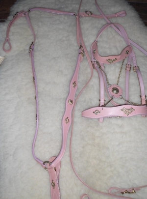 Schicker Barockzaum  Prunkzaumzeug Full + Vorderzeug Bild 7