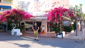Luxusboutique in excellenter Lage am Strand von Paguera Mallorca Bild 1