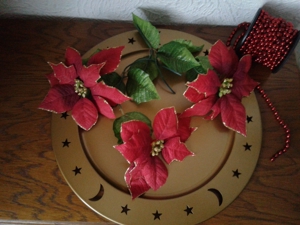Weihnachtsdeko Weihnachten Bild 5