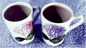 2 x Original Bohemia Kaffeebecher aus Porzellan - Mit versch. Blumenmotiven - ca. 0,25 Lt. Volumen Bild 3