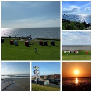 Ferienhaus Seedeich  Lea    Nordsee - Urlaub - Friedrichskoog Bild 14