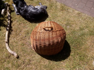 Katzentransportbox Bild 4