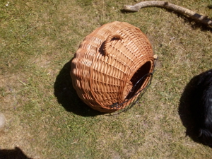 Katzentransportbox Bild 2