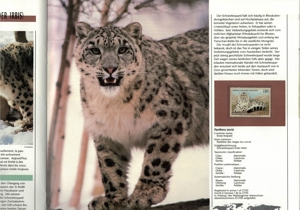 UNO Wien / Genf / NY Gefährdete Arten 1993-1995 in Sammelmappe wahlweise - Katalogwert 43,50 EUR) Bild 5