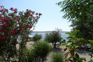 Direkt am Meer - Ferienwohnung Kroatien Urlaub  Adria Insel Strand Bild 3