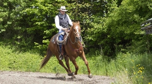 Horsemanship Unterricht mobil im 5 Seenland München Starnberg Bild 8