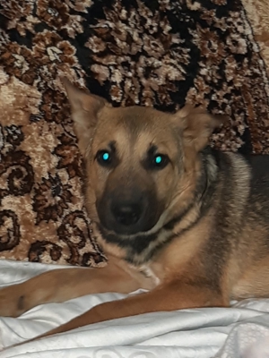 Lübimka - Knopfäuglein braucht ganz viel Liebe