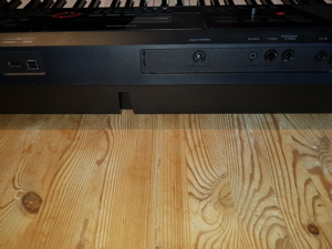 Casio CT-X3000 Keyboard + Nektar NP-2 Sustain Pedal Bild 3