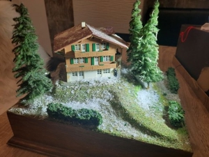 Modellbau Bauernhaus mit Musik Bild 5