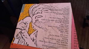 Rod Stewart Doppel LP Vinyl Bild 2