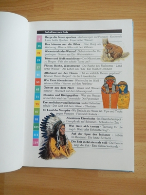 TREFF Schülerbuch / Lesen, Staunen und die Welt entdecken 1990 Bild 2