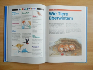 TREFF Schülerbuch / Lesen, Staunen und die Welt entdecken 1990 Bild 3
