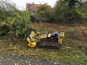 Verwilderte Grundstücke Roden,Forstmulchen,Wurzelfräsen,Rodungen,Baumfällungen, Mäharbeiten  Bild 4