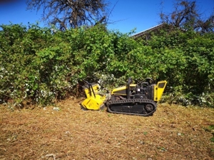 Verwilderte Grundstücke Roden,Forstmulchen,Wurzelfräsen,Rodungen,Baumfällungen, Mäharbeiten  Bild 6