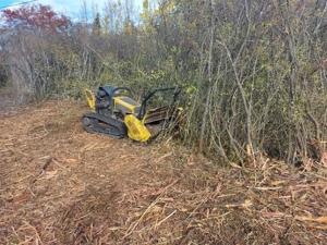 Verwilderte Grundstücke Roden,Forstmulchen,Wurzelfräsen,Rodungen,Baumfällungen, Mäharbeiten  Bild 10