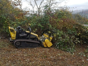 Verwilderte Grundstücke Roden,Forstmulchen,Wurzelfräsen,Rodungen,Baumfällungen, Mäharbeiten  Bild 8