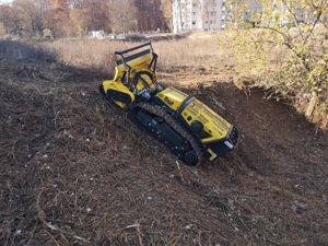 Verwilderte Grundstücke Roden,Forstmulchen,Wurzelfräsen,Rodungen,Baumfällungen, Mäharbeiten  Bild 9