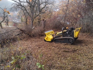 Verwilderte Grundstücke Roden,Forstmulchen,Wurzelfräsen,Rodungen,Baumfällungen, Mäharbeiten  Bild 7