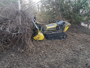 Verwilderte Grundstücke Roden,Forstmulchen,Wurzelfräsen,Rodungen,Baumfällungen, Mäharbeiten  Bild 2