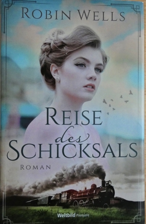 Reise des Schicksals / Robin Wells / ISBN 978-3-95973-282-6