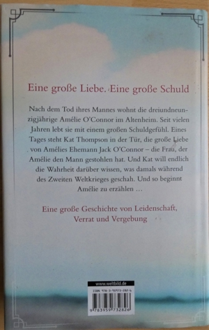 Reise des Schicksals / Robin Wells / ISBN 978-3-95973-282-6 Bild 2