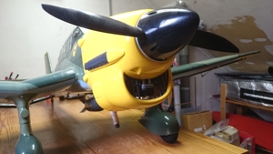 Ju-87B Stuka Black Horse Bild 2