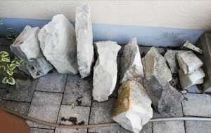 Diverse Steine, müsste Jurakalk sein, Bild 2