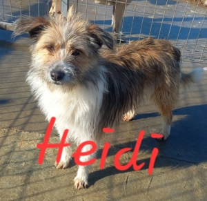 Heidi