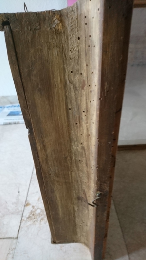 RARITÄT : Seltene, Traumhafte alte Wiener Rahmenuhr : Reila - 18. 19. Jahrhundert Bild 4